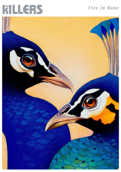 Two illustrated peacocks with vibrant blue and orange feathers face each other against a yellow background. This vibrant Music Poster features text that reads "The Killers and Fire In Bone". A1 to A4 poster print.