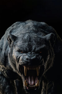 Beasts of the Night Customizable Poster 2 – Add Your Own Text and Photos